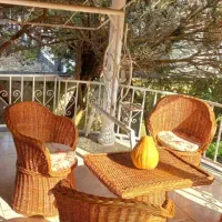 مبل حصیری|مبلمان خانگی و میز عسلی|کلارآباد, |دیوار