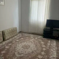 فرش 12 متری گردویی و دو عدد پشتی نو