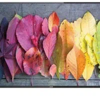 ال ای دی ایکس ویژن