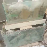 آکواریوم