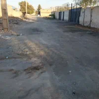 اجاره گلخانه ۲۰۰۰متری زیبادشت|اجارهٔ دفتر صنعتی، کشاورزی، تجاری|محمدشهر, شهرک چمران|دیوار