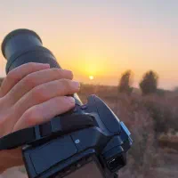 مشارکت در کار زعفران