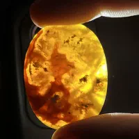 انواع سنگ طبیعی دست تراش|جواهرات|رشت, پارک شهر|دیوار