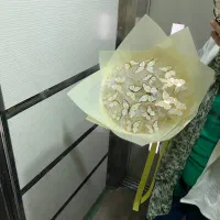 دسته گل پروانه ای ۲۱شاخه باچراغ