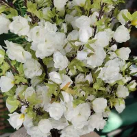 تولید گرینوال و فنس و گل مصنوعی|خدمات باغبانی و درختکاری|کرج, بهشت سکینه|دیوار