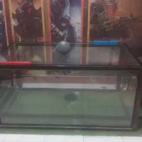 فوتبال نشسته