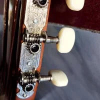 گیتار|گیتار، بیس، امپلیفایر|همدان, |دیوار