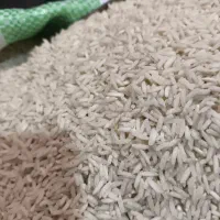 برنج هاشمی درجه یک گیلان|خوردنی و آشامیدنی|کرج, محمود آباد|دیوار