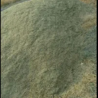 یونجه