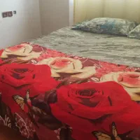 تشک رویال درحد نو دودردو