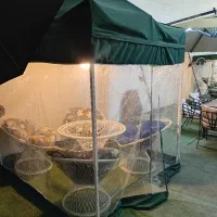 سایبان۳در۴ونیم چترجمع شو الاچیق۴۷۵برزنت|کوهنوردی و کمپینگ|تهران, تهرانسر مرکزی|دیوار