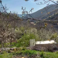 ۳۱۶ متر زمین|فروش زمین و ملک کلنگی|آبعلی, |دیوار