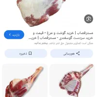 گوشت سردست گوسفندی