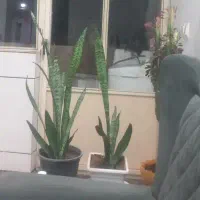 فروش واحد ۱۰۴ متری