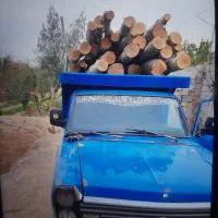بریدن و خریدن انواع چوب
