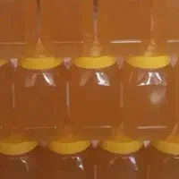 عسل گون گز