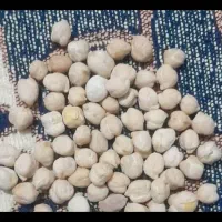 نخود پاک کرده وپزا