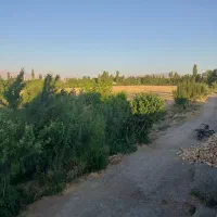 زمین-کشاورزی