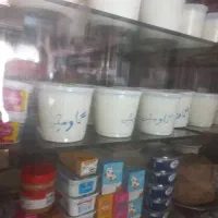 همکار خانم در لبنیاتی