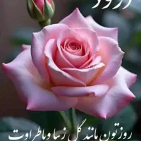 رهن-و-اجاره-مغازه