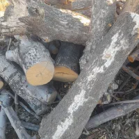 چند تن چوب خشک خشک سنجد توت زبان گنجشک گردو|عمده‌فروشی|ری, امین آباد|دیوار