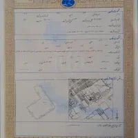 1267متر-زمین