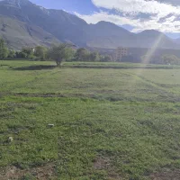 فروش-زمین-در-چهل-خانوار