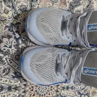 کفش والیبال درحد