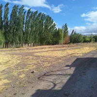 وام دار زمین مسکونی اندبیل
