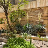 زمین با پروانه ساخت ۴طبقه روی پیلوت