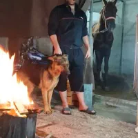 نگهبان و سرایدار با خانواده در باغ سالم سالم