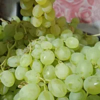 انگور شیرین