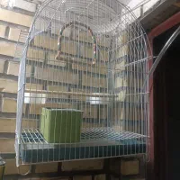 یک قفس در حد نو|لوازم جانبی حیوانات|سنندج, |دیوار