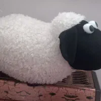 عروسک گوسفندخوشگل