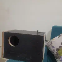 لونه عروس هلندی