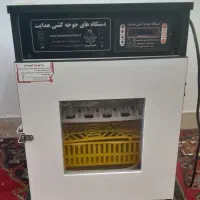 دستگاه جوجه کشی