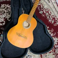 گیتار حرفه ایی