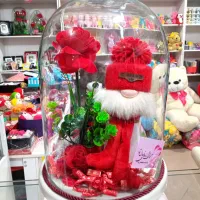 فلکسی لی لی پود