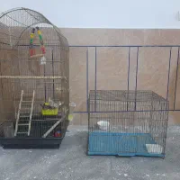 دوتا قفس|لوازم جانبی حیوانات|دره شهر, |دیوار