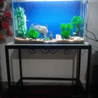 اکواریومماهی۶۰لیتری