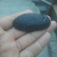 لوت