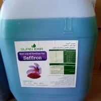 کود آب بعد گلدهی زعفران
