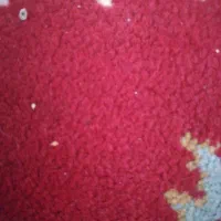 فروش پسته تازه ارگانیک رودرخت