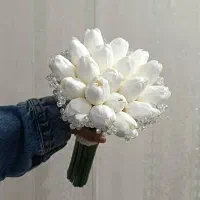 چوبک وربان عروس