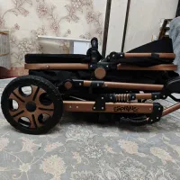 کالسکه|کالسکه و لوازم جانبی|تهران, مسعودیه|دیوار