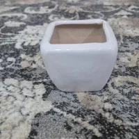 گلدان کوچک|گل مصنوعی|کرمان, |دیوار