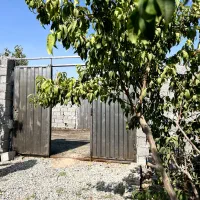 باغ سرسبز و بِکر/۳۱۹ متر،محصور شده|فروش زمین و ملک کلنگی|اسلام‌شهر, شهرک محمدیه|دیوار