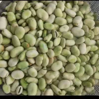باقالی پاک شده