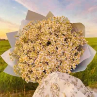 دنبال کار هستم