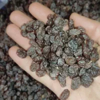 کشمش پاک شده اعلا|خوردنی و آشامیدنی|عجب شیر, |دیوار